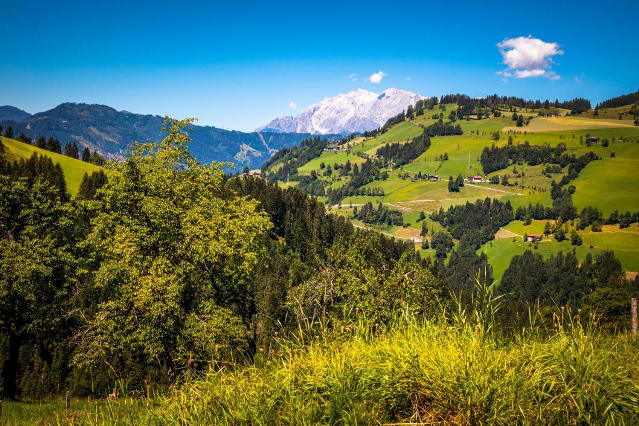 Hallmoosgut Sankt Johann im Pongau Luaran gambar